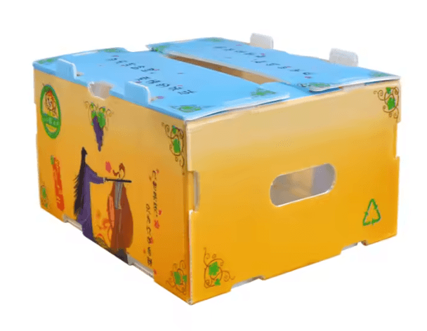 Obst- und Gemüseverpackungsbox